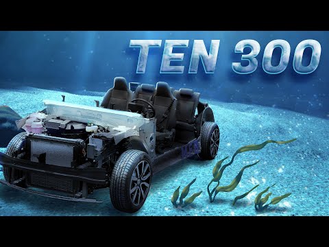 Ten 300 - Nissan Ariya, Fisker Wants Volkswagen, Model Y Short Range Cancelled