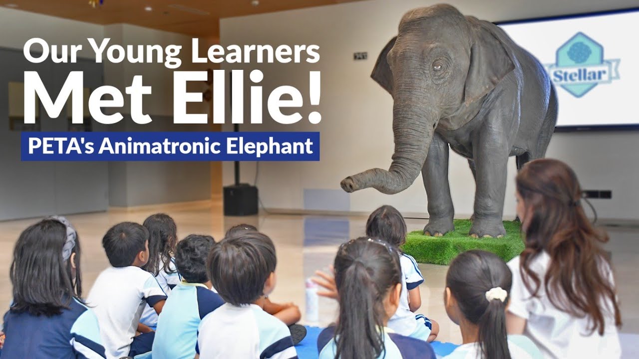 Our Young Learners Met Ellie -  Peta's Animatronic Elephant 
