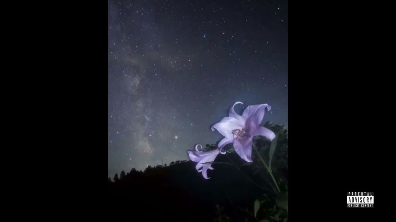 [free] fakemink type beat - snow white