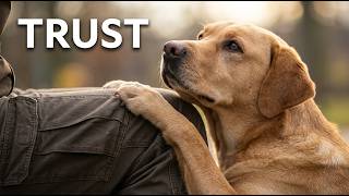 The Real Reason Your Dog Presses Against Your Leg