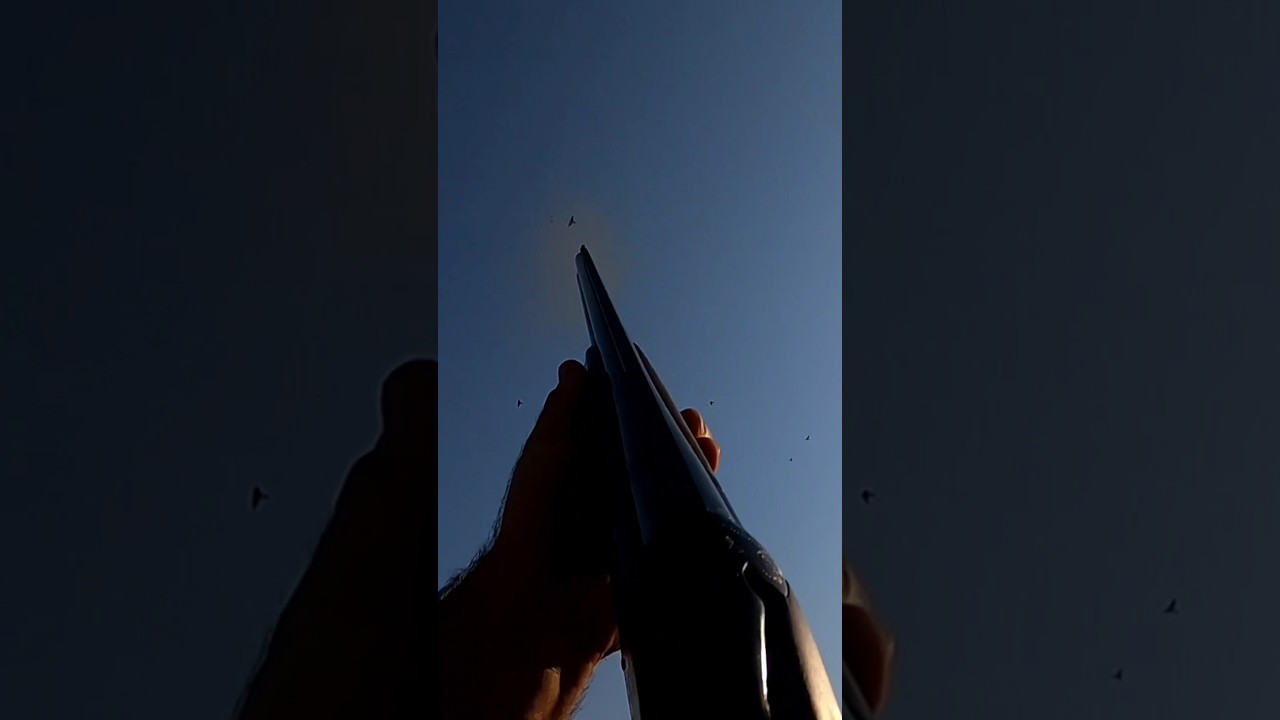 ¡Ahí va la torcaz! parte 3 