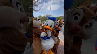 Chaos Alert! Chip n' Dale's Hysterical Hunt for Donald Duck! #shorts #disney