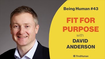 David Anderson on The Grand Gesture vs Evolutionary Change - from Being Human #43