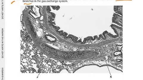 9700/NOV24/21 ..Q1 Q2 Q3 EXPLAINED