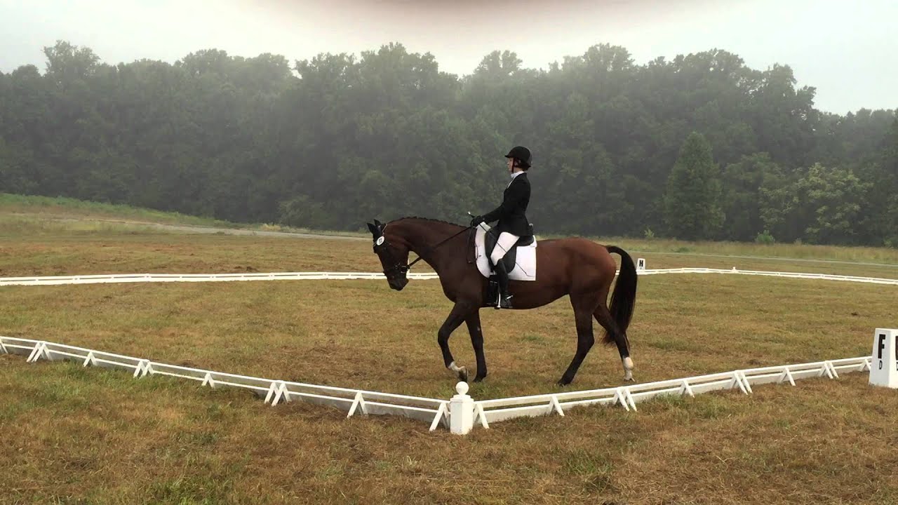 Freedom's Pride & Mary Fleming, Marlborough Dressage Test