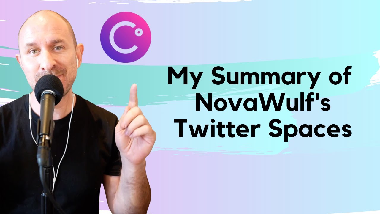 My Summary of NovaWulf's Twitter Spaces