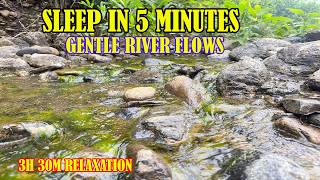 Relaxing River Sounds for Deep Sleep 🌊 Nature's White Noise for Stress Relief