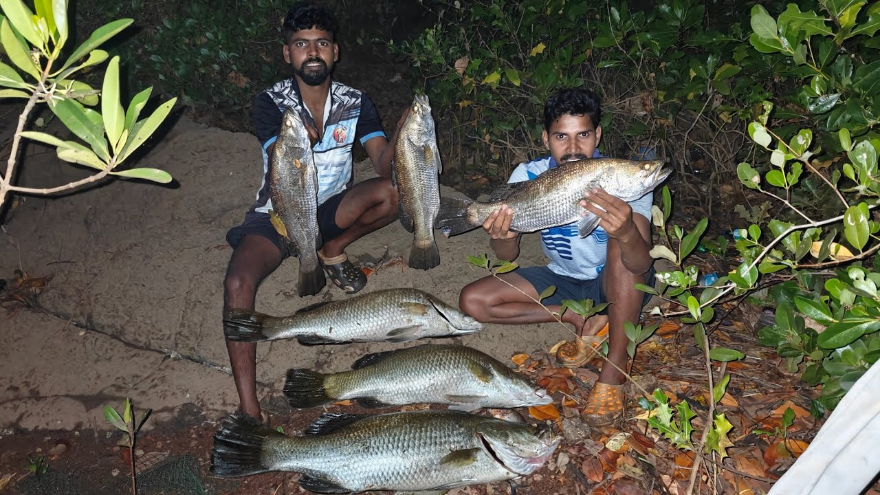 आज सापडले मोठे जिताडे , खाडीतील भन्नाट रॉड मासेमारी | rod fishing in kokan @TejaGurav 
