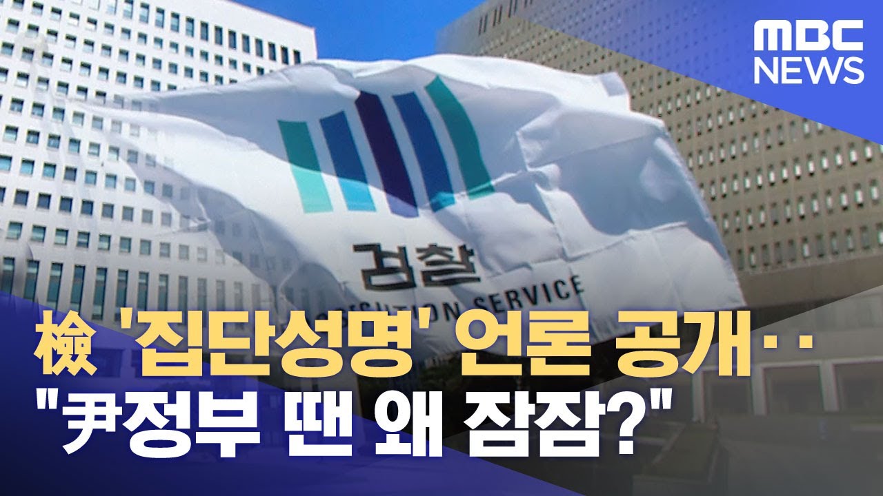 檢 '집단성명' 언론 공개‥