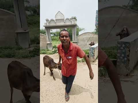 কাবিরের হাসির ভিডিও। kabirer funny video। kabir comedy। 