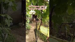 Fouka le 09 mai 2026_1623
