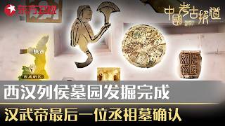 中国考古报道：寨沟遗址发现印度洋海贝再惊天下_中国考古报道_看看新闻网.mp4