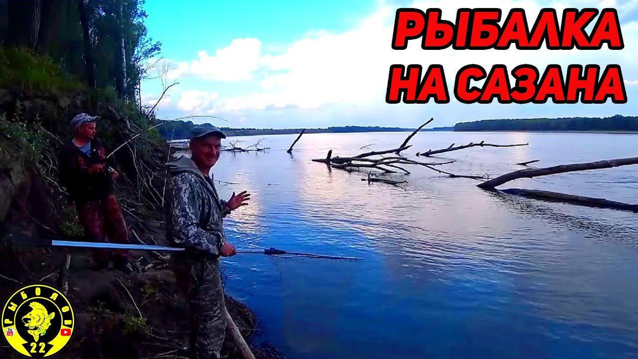 Ловля сазана на волге