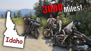 3000 MILES on HARBOR FREIGHT BAGS!! Will they SURVIVE??