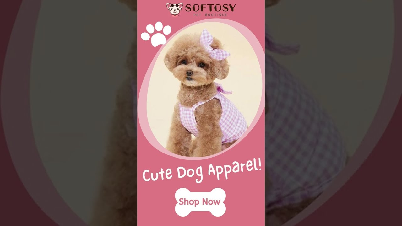 Super Cute Dog Clothes | Softosy Pet Boutique