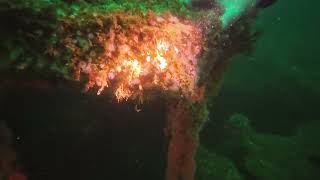 The Coast Guard cutter, the Ruby E, about 85 feet down, off the coast of Mission Beach in San Diego News