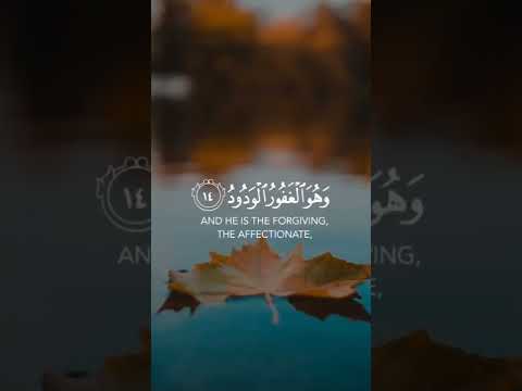 #quran
