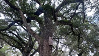 Trader’s Hill Campout, Folkston, GA