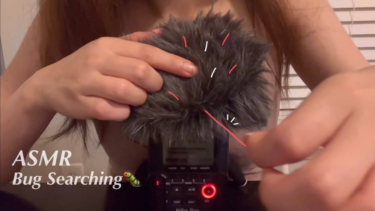 ASMR｜Bug Searching｜Pulling Yarn Out from Your Head🧵（No Talking）