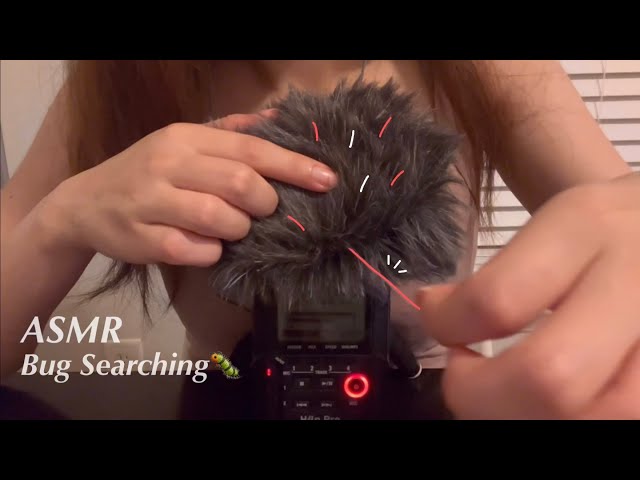 ASMR｜Bug Searching｜Pulling Yarn Out from Your Head🧵（No Talking）