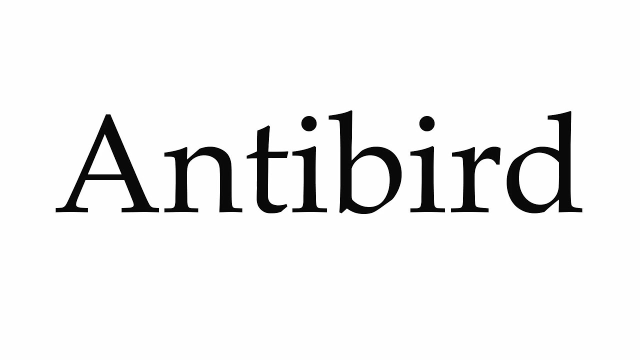How to Pronounce Antibird