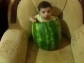 Baby eating watermelon or watermelon eating baby