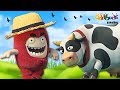 Oddbods | Lidiando con Vacas - Especial de Fuse | Dibujos Animados Graciosos Para Niños