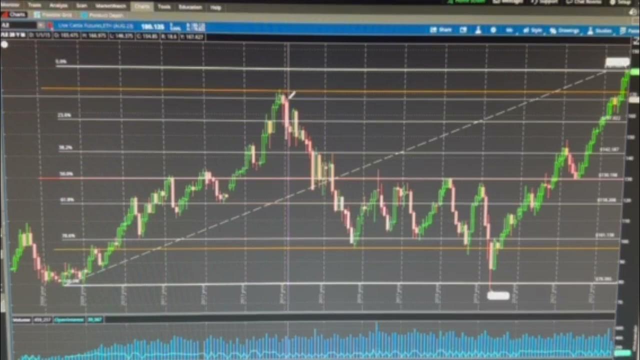 Beef futures 2 YouTube
