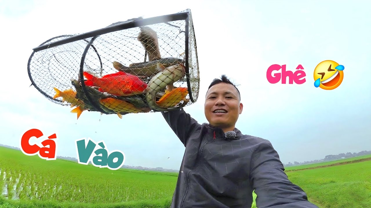 Lờ Treo Ở Trên Cạn Mà Vẫn Dính Khá Nhiều Cá Đỏ Và Trê Đồng Về Kho Tương ...