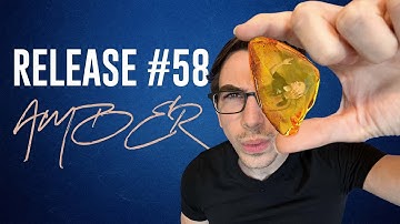Release 58 "Amber" Overview | Non-Job Forms, Redesigned Permissions, And More!