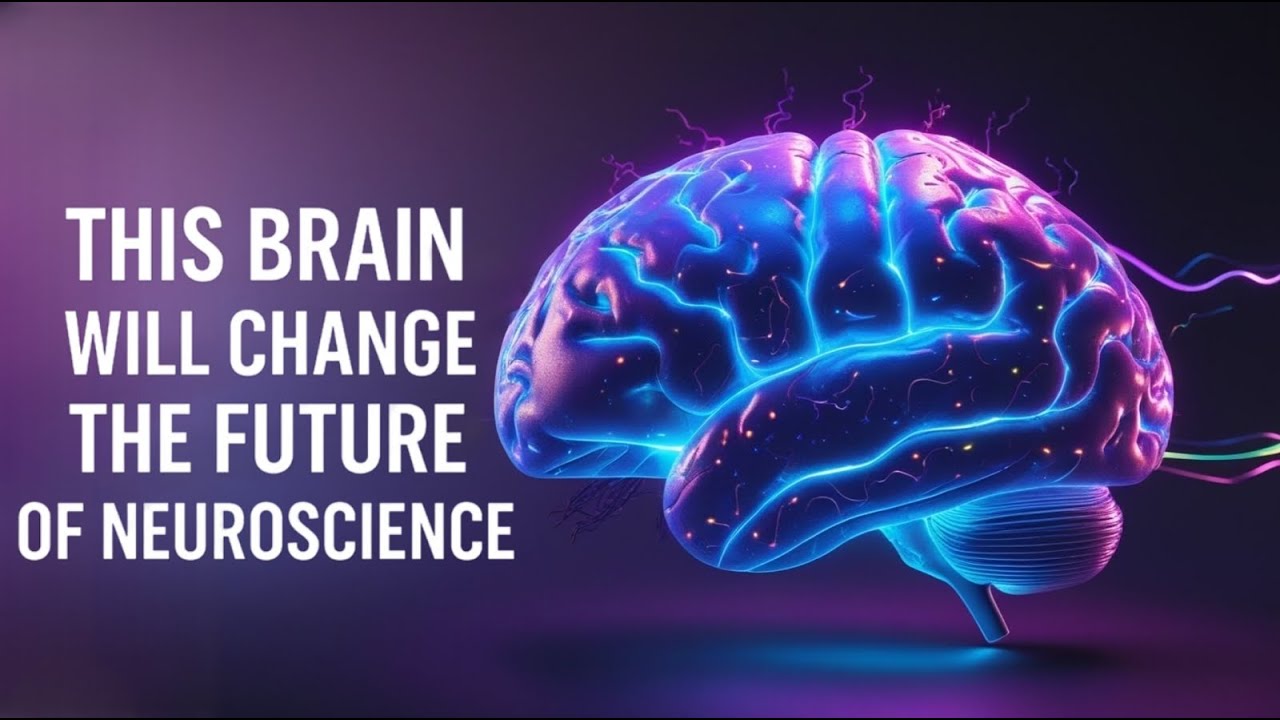 This brain will change the future of neuroscience