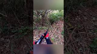 🎯 Охота на дикого кабана в дикой природе 🐗#охота #кабан #дикийкабан