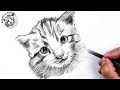 Cómo Dibujar un Gato Pequeño a Lápiz Fácil, Paso a Paso