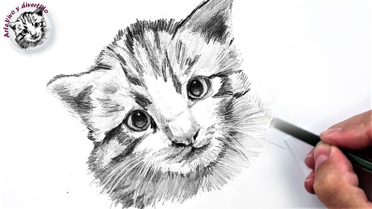 Detalle 24+ imagen dibujos de gatos a lapiz faciles