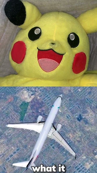 how-fast-do-airplanes-go-at-ground-level-speedflying-fyp-airplane
