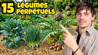 Les 15 légumes PERPÉTUELS que je cultive et qui m'ont changé la vie au potager + tour du potager