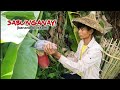 FINDING AND COOKING SOME BANANA BLOSSOMS | Life in the Countryside | Episode 19