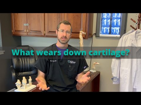 Knee Cartilage and What wears Cartilage Down? Learn What Wears Knee Cartilage Down.