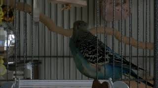 Lennie. 20230311 145316