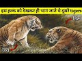 इस जय Tiger के डर से हि दूसरे Tigers इलाका खाली कर देते थे | The Hulk Of India | story of tiger jay