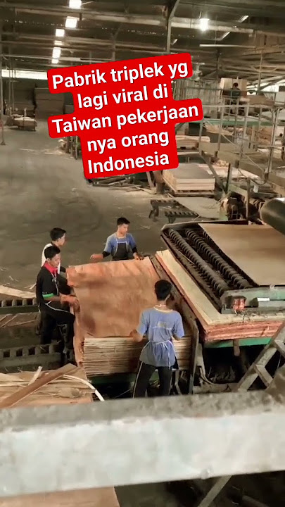 pabrik triple yg lagi viral di Taiwan pekerjaan nya TKI Indonesia #tkitaiwan #shortviral