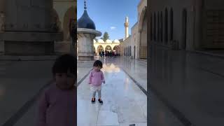 Kısa Bir Urfa Yolculuğu Resimi