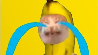 Up To Faster Sago Mini And Crossover