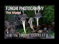FUNGHI PHOTOGRAPHY-FIRST ATTEMPT-with the TOKINA 100mm F2.8 Macro Lens
