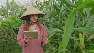 How AI Is Transforming Crop Yield Prediction for Farmers