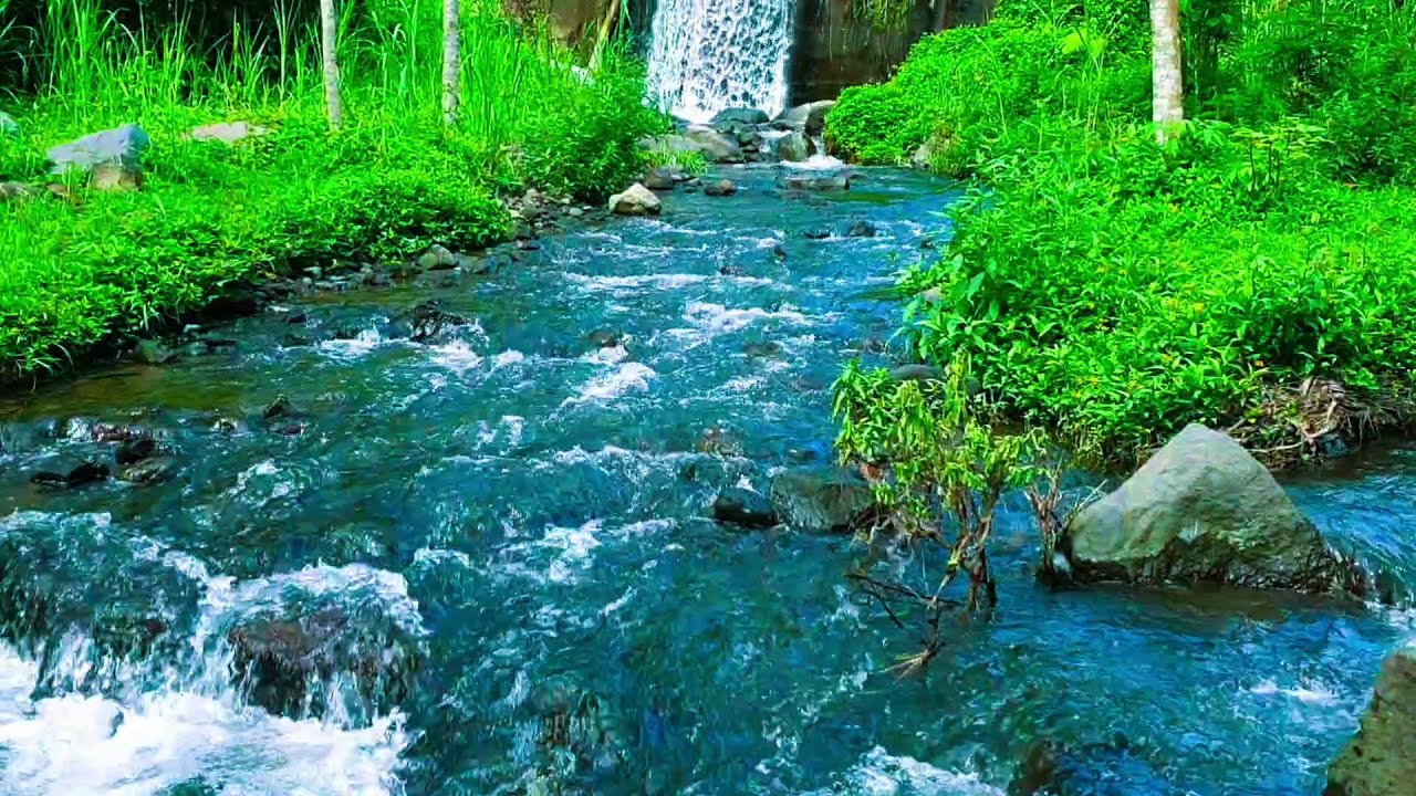 Cure Rivier Delightful Water Sounds of the River Cures Stress, Calming water ...