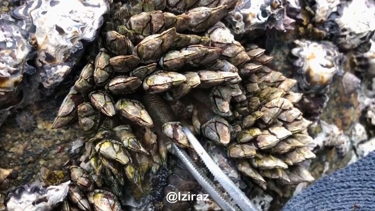 You Know What Is This Episode 873