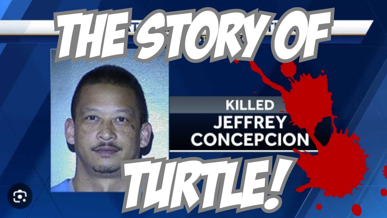 The Raw Story Of Turtle De SEM! First Degree Murder, 2nd Degree Murder ...