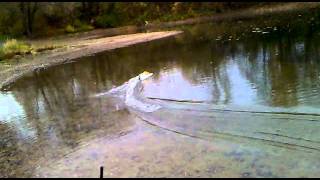 Hornet F1 Tunnel Hull Boat