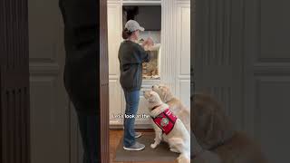 A 40% Alert Rate For Peanuts